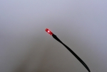 Glühbirne micro rot 1,5 V